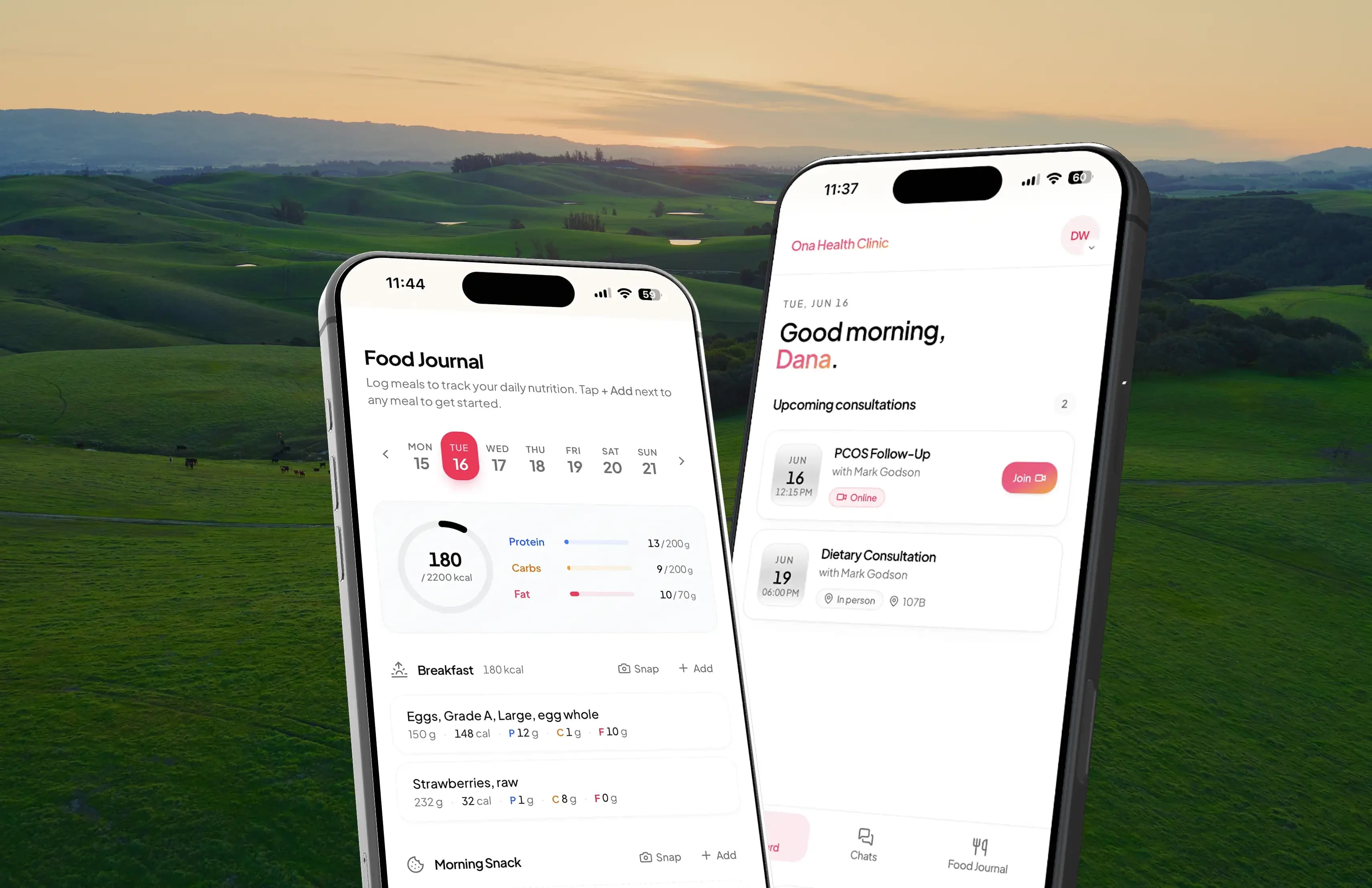 Patient portal