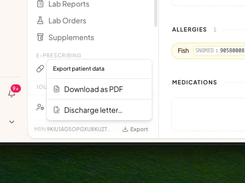 The Export patient data menu at the bottom of the chart sidebar, offering Download as PDF and Discharge letter