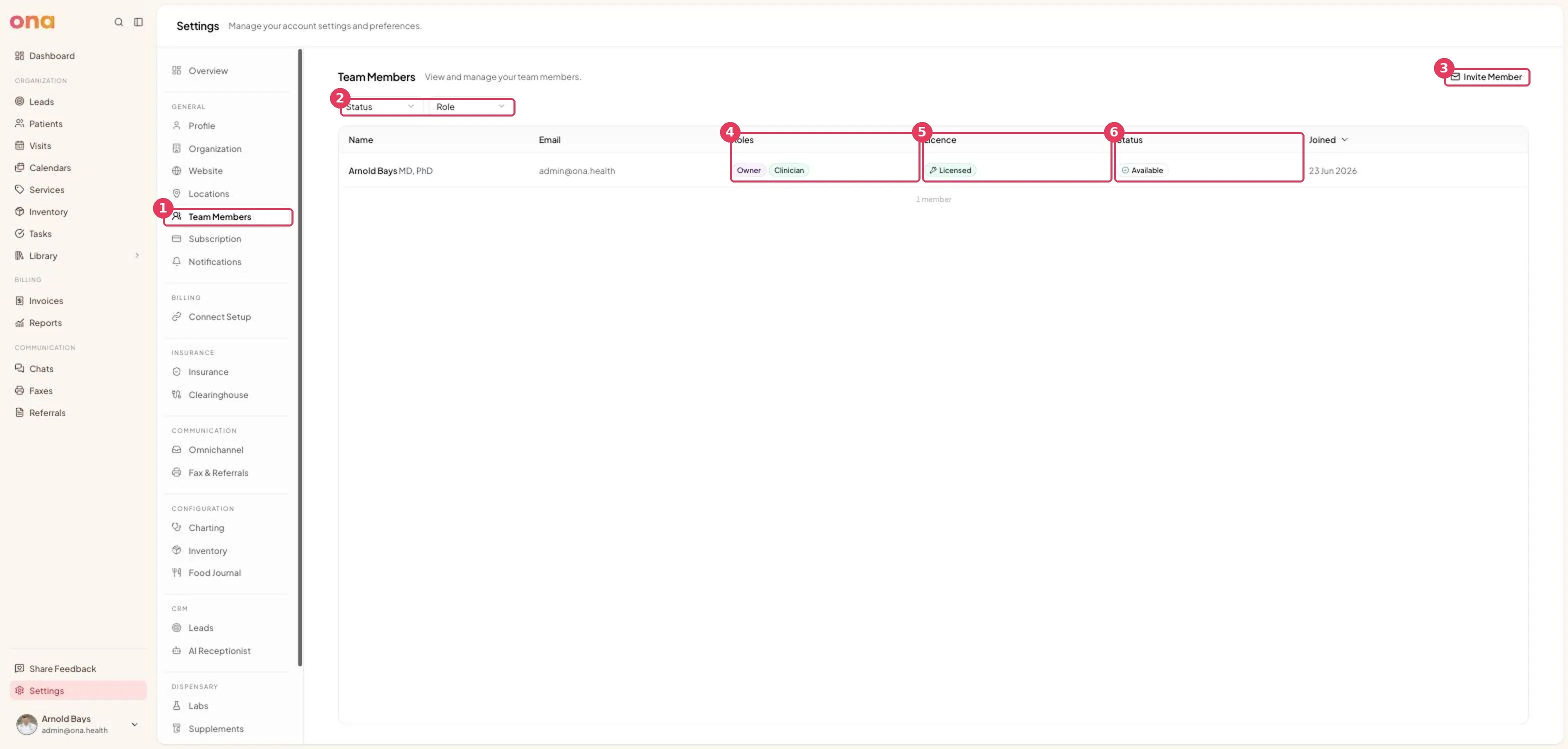 The Team Members page, showing one member with roles, licence and status