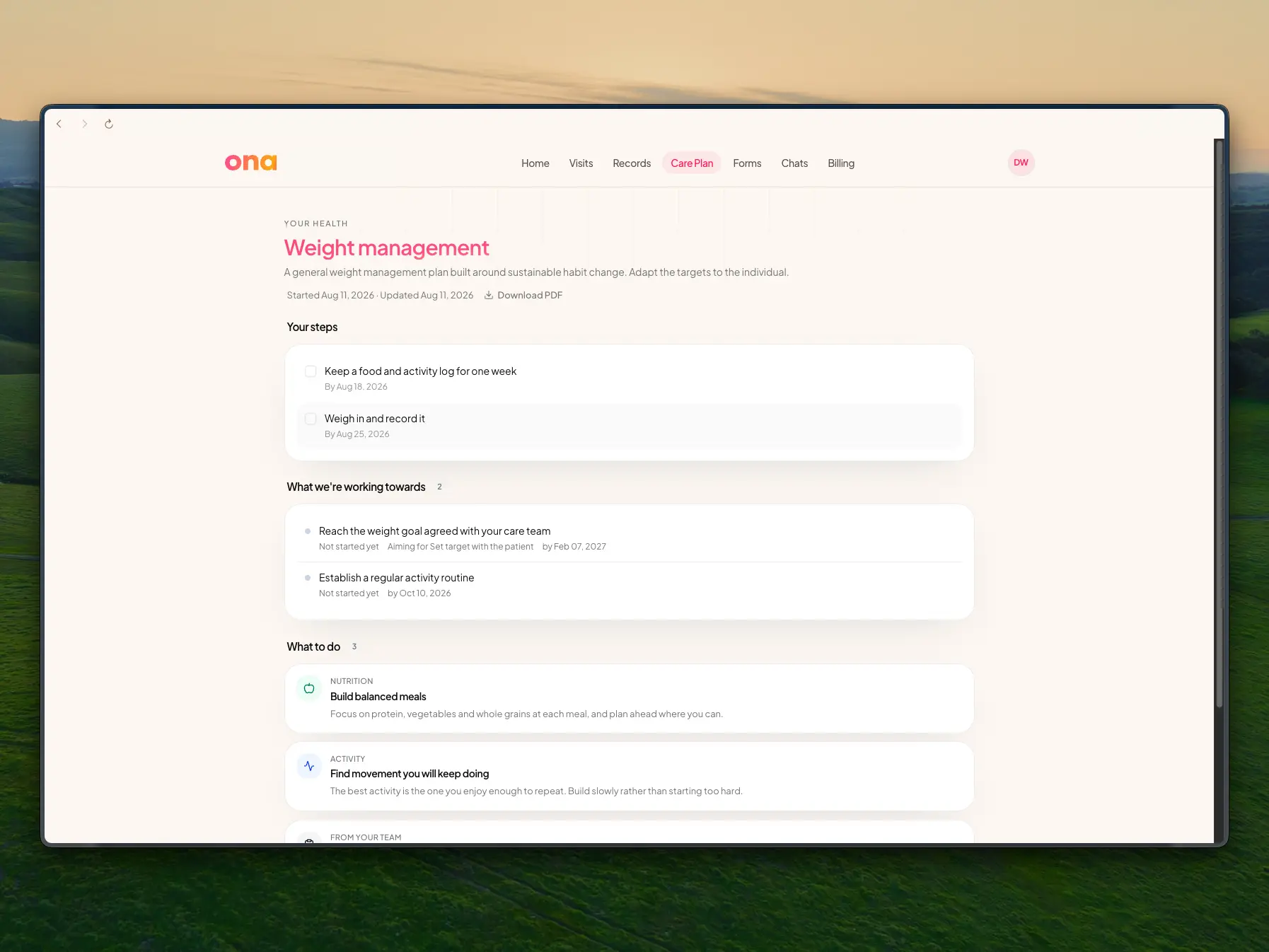 The patient's view of their care plan in the portal