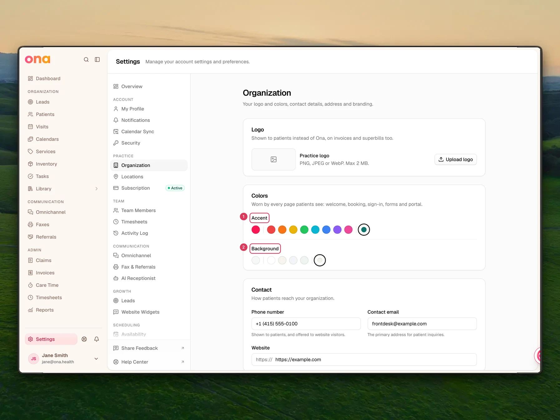 The Organization settings page is open to the Colors section for patient-facing branding, showing the Accent and Background swatches.