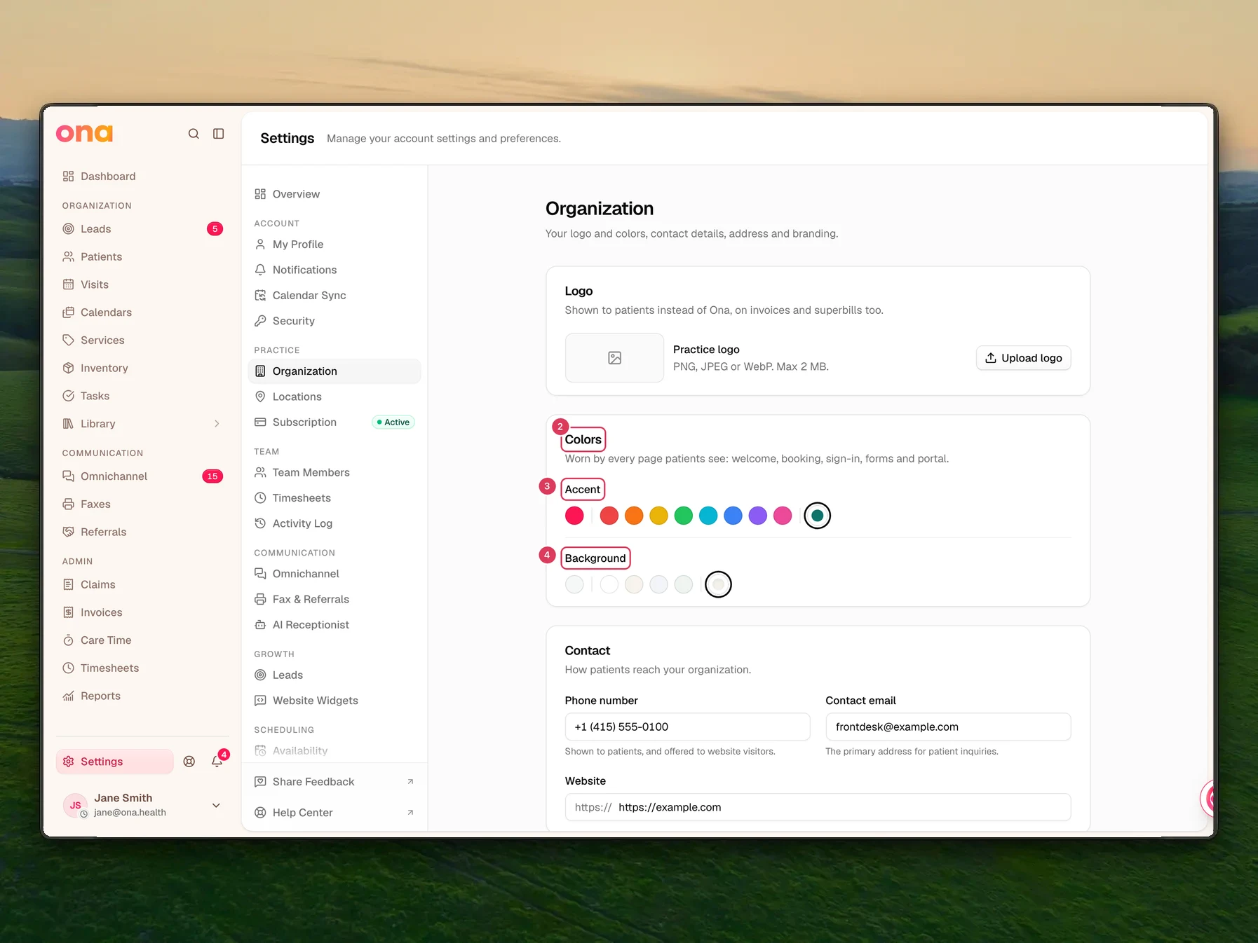 The Organization settings page shows the Colors section with accent and background choices, alongside other organization branding and contact settings.