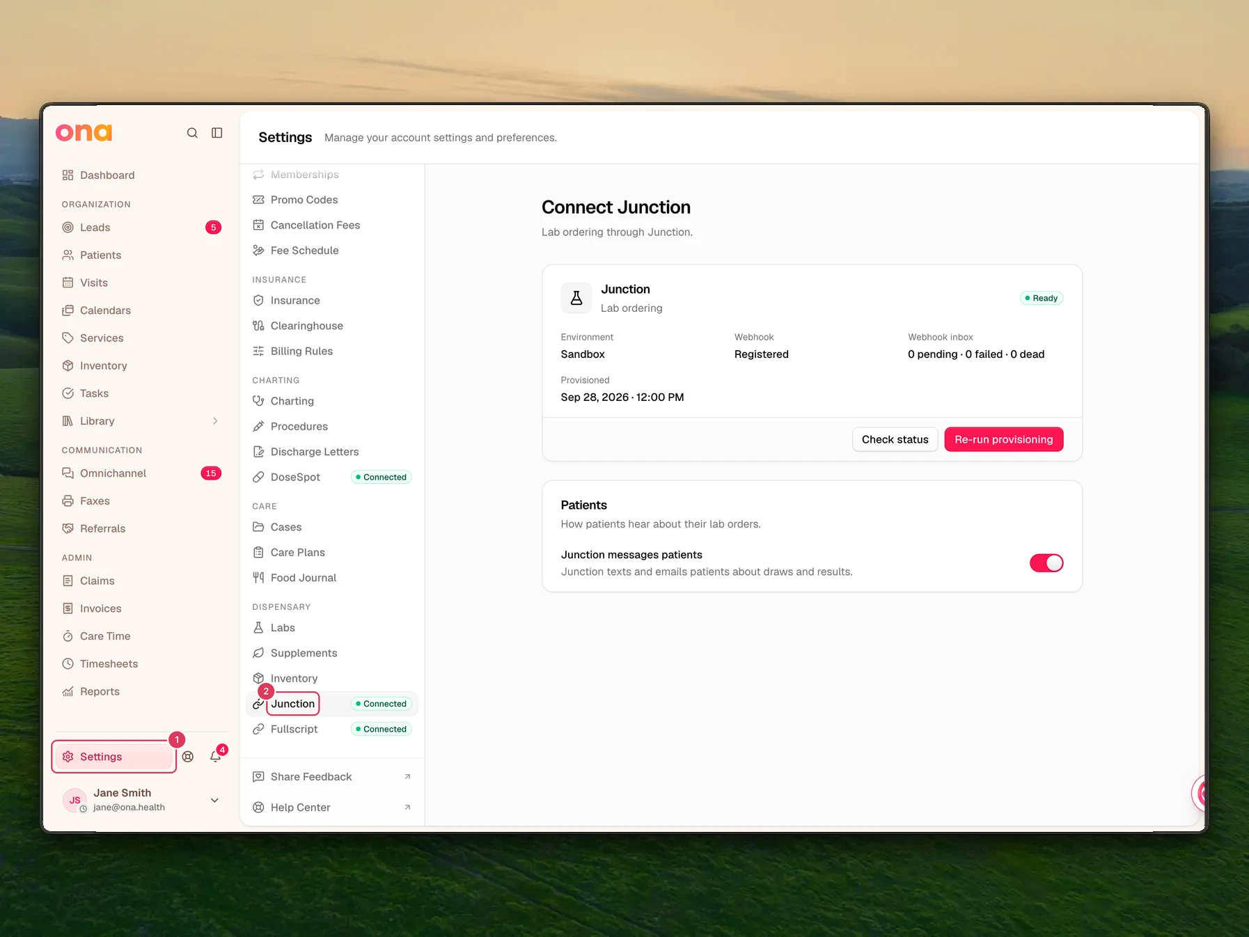 The Junction settings page is open with Settings highlighted in the left sidebar and Junction highlighted in the settings menu.