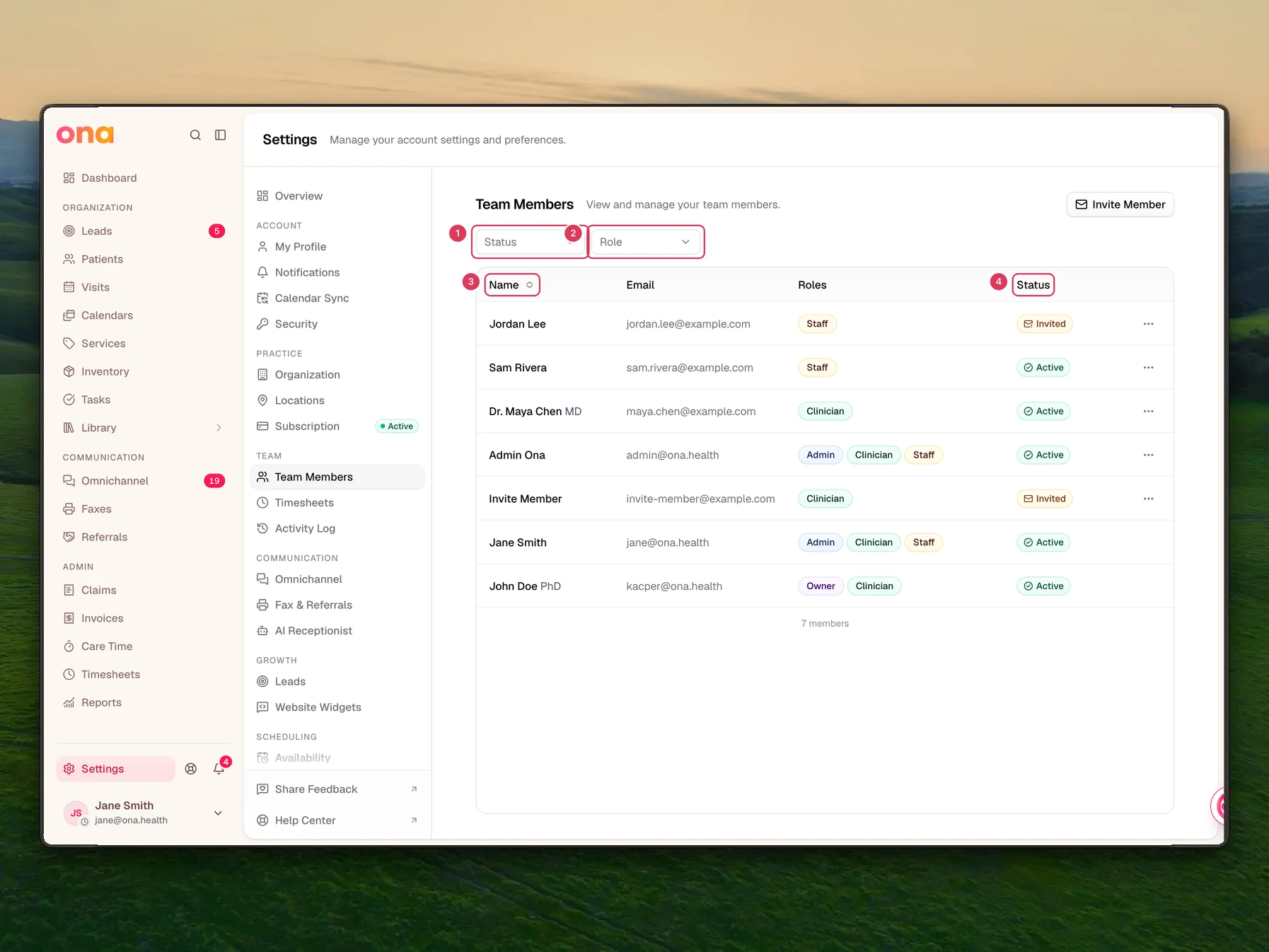 The Team Members settings page is open, with Status and Role filter dropdowns above a table of members showing columns for Name, Email, Roles, and Status.