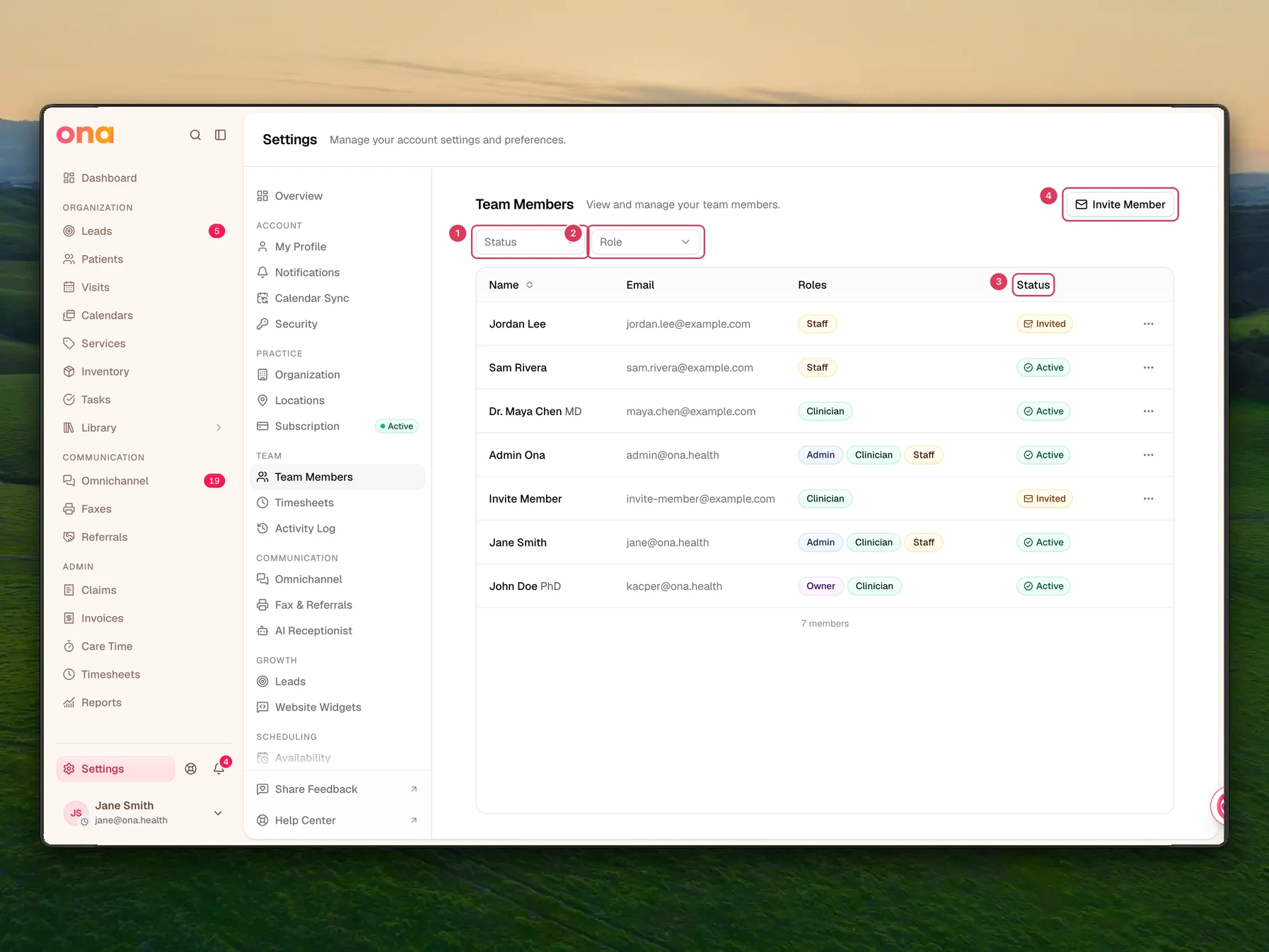 The Team Members page shows the member list and filters, where an inactive subscription can block protected actions even when the role looks correct.