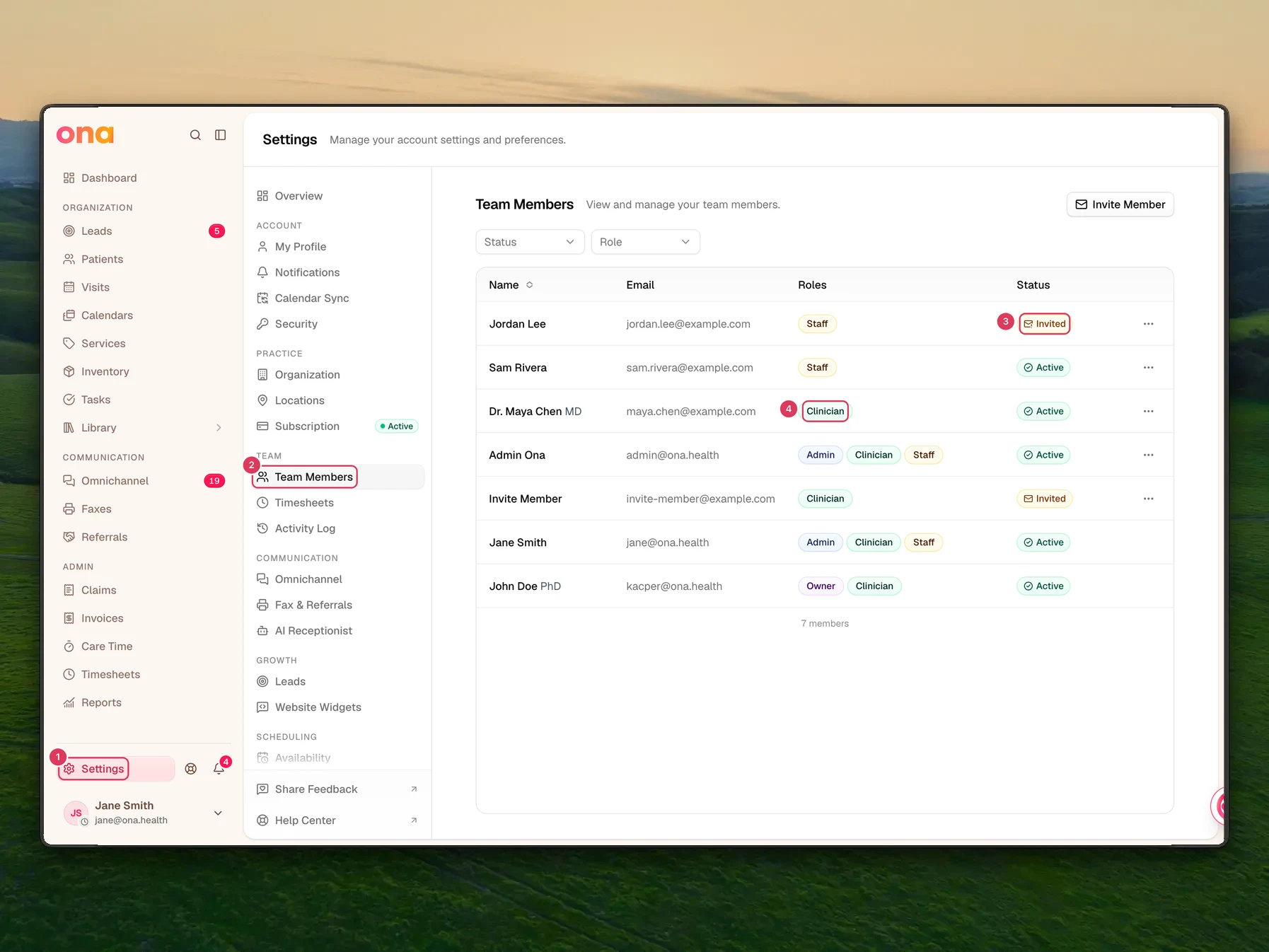 The Settings area is open to the Team Members page, with the member table showing role and invitation status for checking access issues.