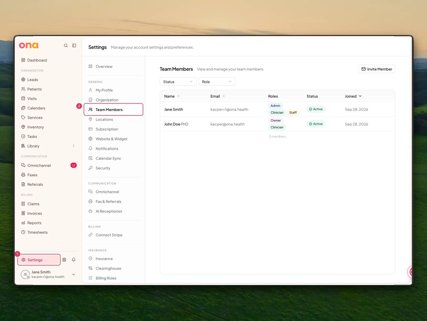 The Team Members settings page is open with Settings highlighted in the main sidebar and Team Members highlighted in the settings menu.