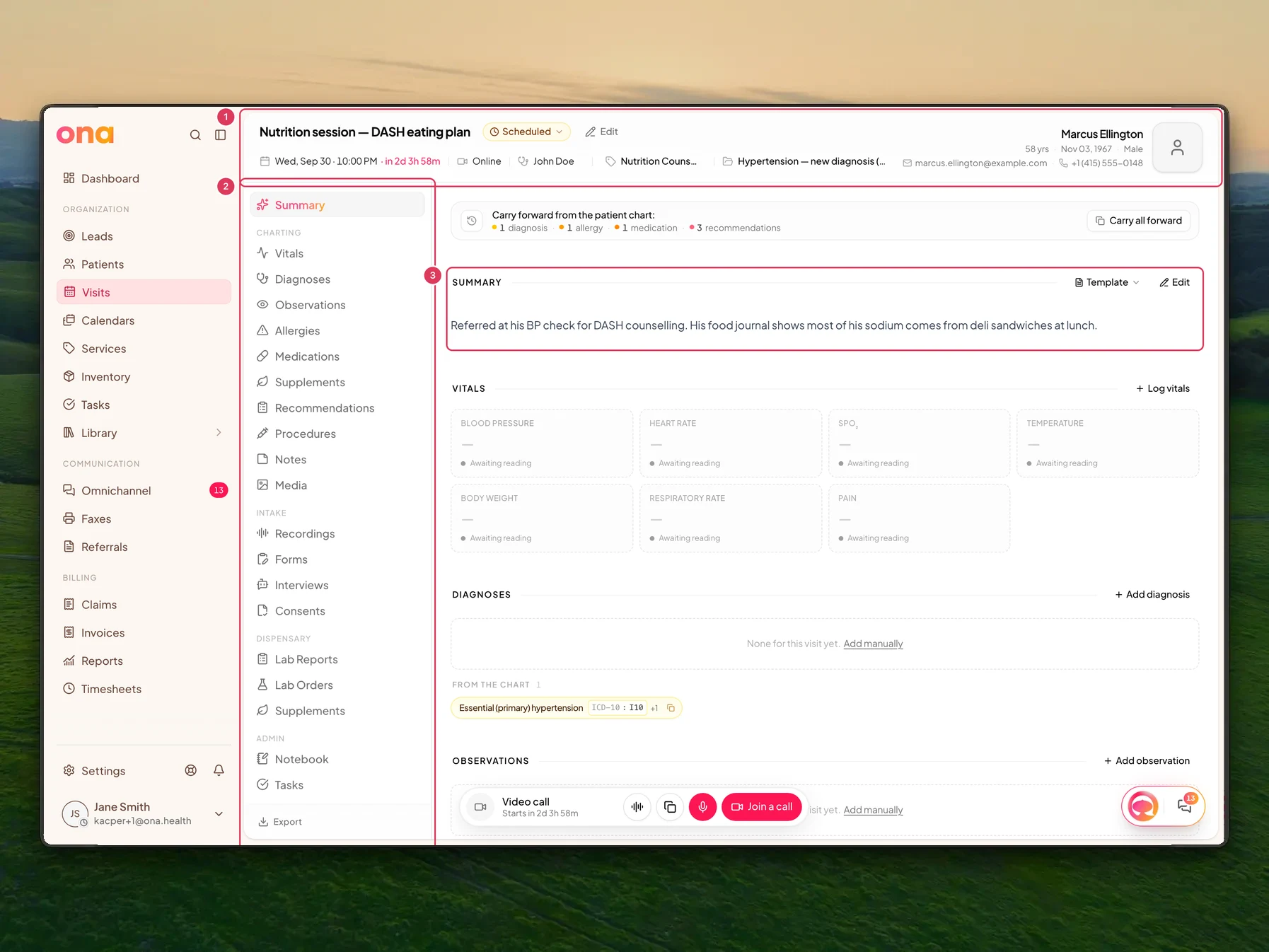The visit workspace is open with the visit header at the top, the Visit sections rail on the left and the Summary section in the main content area.